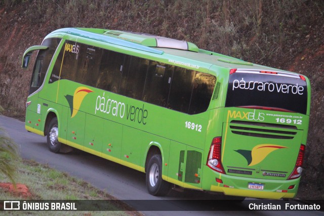 Pássaro Verde 16912 na cidade de Coimbra, Minas Gerais, Brasil, por Christian  Fortunato. Número da foto: #13295392.