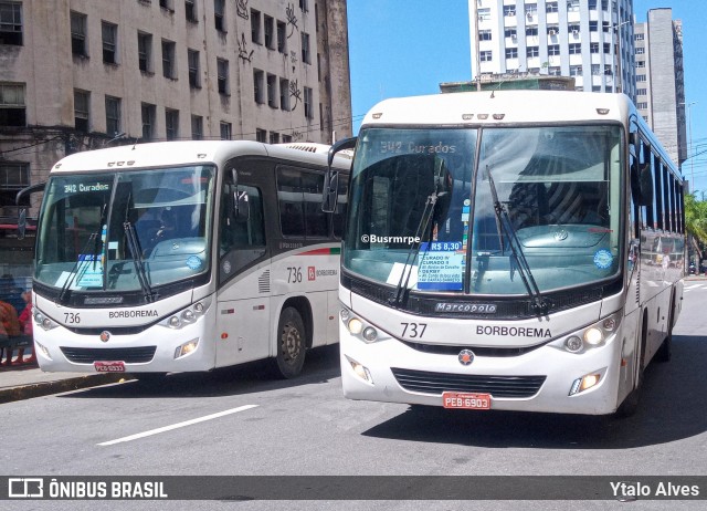 Borborema Imperial Transportes 737 na cidade de Recife, Pernambuco, Brasil, por Ytalo Alves. Número da foto: #13294757.