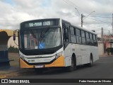 Pontual Sul Transporte e Turismo 23 005 na cidade de Botucatu, São Paulo, Brasil, por Pedro Henrique de Oliveira. Número da foto: #13294074.