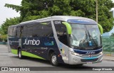 Jumbo Turismo 3201 na cidade de São Paulo, São Paulo, Brasil, por George Miranda. Número da foto: #13294720.