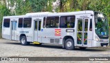 BluMob - Concessionária de Transporte Urbano de Blumenau 9193 na cidade de Blumenau, Santa Catarina, Brasil, por Iago Scheineider. Número da foto: #13296044.