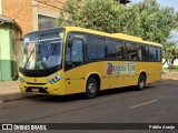 Lions Tur 7125 na cidade de Rondonópolis, Mato Grosso, Brasil, por Públio Araujo. Número da foto: #13294779.