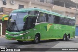 Pássaro Verde 19146 na cidade de Coimbra, Minas Gerais, Brasil, por Christian  Fortunato. Número da foto: #13295406.