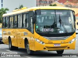 Insular Transportes Coletivos 41036 na cidade de Florianópolis, Santa Catarina, Brasil, por Gustavo  Bonfate. Número da foto: #13295245.
