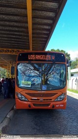 VCG - Viação Campos Gerais 1255 na cidade de Ponta Grossa, Paraná, Brasil, por BrunyBus Prado. Número da foto: #13295937.