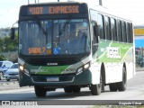Transportes Mageli RJ 167.001 na cidade de Rio de Janeiro, Rio de Janeiro, Brasil, por Augusto César. Número da foto: #13294086.