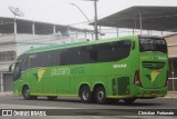 Pássaro Verde 19146 na cidade de Coimbra, Minas Gerais, Brasil, por Christian  Fortunato. Número da foto: #13295395.