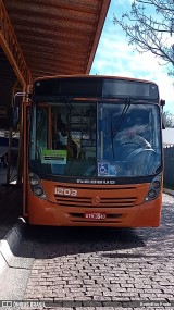 VCG - Viação Campos Gerais 1203 na cidade de Ponta Grossa, Paraná, Brasil, por BrunyBus Prado. Número da foto: #13295931.