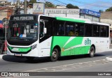 Viação Elite RJ 176.076 na cidade de Volta Redonda, Rio de Janeiro, Brasil, por Luiz Petriz. Número da foto: #13293920.