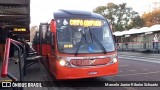 Viação Cidade Sorriso >> Viação Sorriso de Curitiba GE704 na cidade de Curitiba, Paraná, Brasil, por Marcelo Junior Ribeiro Schuartz. Número da foto: #13293977.