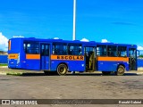 Vitória Transportes 131676 na cidade de Aracaju, Sergipe, Brasil, por Ronald Gabriel. Número da foto: #13294219.