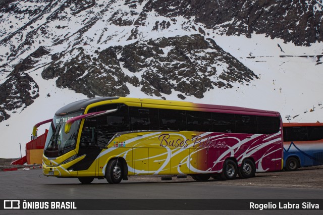 Pullman Pulpica TSTD41 na cidade de Los Andes, Los Andes, Valparaíso, Chile, por Rogelio Labra Silva. Número da foto: #13269120.