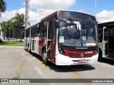 Auto Viação Transcap >> Auto Bless Transportes 8 5158 na cidade de Barueri, São Paulo, Brasil, por Anderson Gabriel. Número da foto: #13270502.