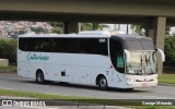 Catarinão Turismo 2018 na cidade de Florianópolis, Santa Catarina, Brasil, por George Miranda. Número da foto: #13269945.