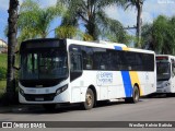 American Vans Transportes e Turismo 1501 na cidade de Porto Feliz, São Paulo, Brasil, por Weslley Kelvin Batista. Número da foto: #13269442.