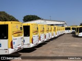 Viação Pioneira 234681 na cidade de Ceilândia, Distrito Federal, Brasil, por Gabriel Rocha. Número da foto: #13269043.