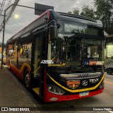 Prefeitura Municipal de Petrópolis TESTE na cidade de Petrópolis, Rio de Janeiro, Brasil, por Gustavo Fidelis. Número da foto: #13270080.