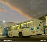 Nova Transporte 22391 na cidade de Cariacica, Espírito Santo, Brasil, por Gabriel Silva. Número da foto: #13270100.