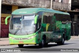 Pássaro Verde 15132 na cidade de Belo Horizonte, Minas Gerais, Brasil, por Eliziar Maciel Soares. Número da foto: #13269482.