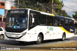 Viação Elite 2405 na cidade de Volta Redonda, Rio de Janeiro, Brasil, por Paulo Henrique Pereira Borges. Número da foto: #13270859.