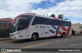 Beija Flor Turismo 4000 na cidade de Atibaia, São Paulo, Brasil, por Helder Fernandes da Silva. Número da foto: #13270729.