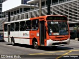 TRANSPPASS - Transporte de Passageiros 8 1114 na cidade de São Paulo, São Paulo, Brasil, por Hipólito Rodrigues. Número da foto: #13271188.