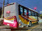 Bupesa 130 na cidade de Maipú, Santiago, Metropolitana de Santiago, Chile, por Benjamín Tomás Lazo Acuña. Número da foto: #13268774.