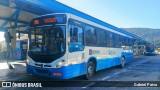 Transol Transportes Coletivos 0303 na cidade de Florianópolis, Santa Catarina, Brasil, por Gabriel Paiva. Número da foto: #13268811.