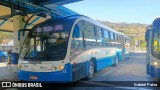 Insular Transportes Coletivos 5096 na cidade de Florianópolis, Santa Catarina, Brasil, por Gabriel Paiva. Número da foto: #13268884.