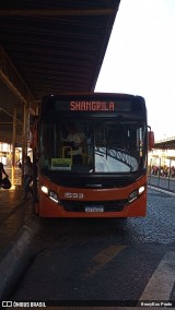 VCG - Viação Campos Gerais 1593 na cidade de Ponta Grossa, Paraná, Brasil, por BrunyBus Prado. Número da foto: #13271041.
