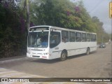 Moisvan Transportes 7305 na cidade de Piritiba, Bahia, Brasil, por Mario dos Santos Nogueira Junior. Número da foto: #13270104.