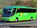 Pássaro Verde 16910 na cidade de Belo Horizonte, Minas Gerais, Brasil, por Matheus Adler. Número da foto: #13269756.