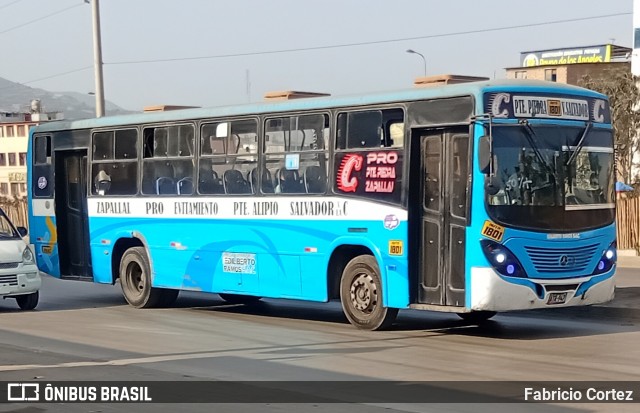 E.T. Edilberto Ramos S.A.C.  na cidade de Villa El Salvador, Lima, Lima Metropolitana, Peru, por Fabricio Cortez. Número da foto: #13271864.