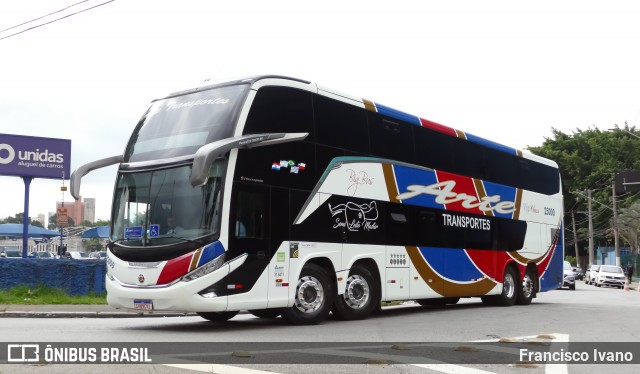 Arte Transportes e Turismo 25000 na cidade de São Paulo, São Paulo, Brasil, por Francisco Ivano. Número da foto: #13271383.