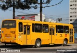 Viação Cidade Sorriso >> Viação Sorriso de Curitiba GC010 na cidade de Curitiba, Paraná, Brasil, por Busologia Gabrielística. Número da foto: #13272803.