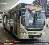 Viação Castelo Branco 25012 na cidade de Curitiba, Paraná, Brasil, por BUSOLOGIA ACS Caetano. Número da foto: #13273905.