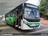 Viação Elite RJ 176.078 na cidade de Pinheiral, Rio de Janeiro, Brasil, por Evelyn Lima. Número da foto: #13271715.