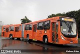 Viação Tamandaré KI605 na cidade de Curitiba, Paraná, Brasil, por Matheus Ribas. Número da foto: #13273816.
