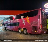 Bus Transportes 1002 na cidade de Registro, São Paulo, Brasil, por Andre Santos de Moraes. Número da foto: #13272184.