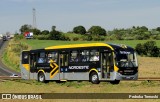 Expresso Nordeste 5300 na cidade de Apucarana, Paraná, Brasil, por Pedroka Ternoski. Número da foto: #13273558.