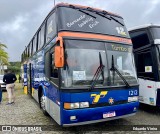 Transportadora Tamboré 1212 na cidade de Juiz de Fora, Minas Gerais, Brasil, por Eduardo Vieira. Número da foto: #13272357.