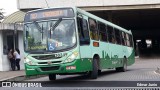 Independência > Trans Oeste Transportes 30349 na cidade de Belo Horizonte, Minas Gerais, Brasil, por Edmar Junio. Número da foto: #13273476.