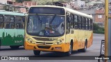 Independência > Trans Oeste Transportes 30342 na cidade de Belo Horizonte, Minas Gerais, Brasil, por Edmar Junio. Número da foto: #13273503.
