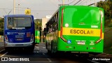 Transportes Capellini 32885 na cidade de Paulínia, São Paulo, Brasil, por Allan Henrique. Número da foto: #13271970.