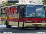 Viação Pássaro Livre 3800 na cidade de Belo Horizonte, Minas Gerais, Brasil, por Henrique Simões. Número da foto: #13271861.