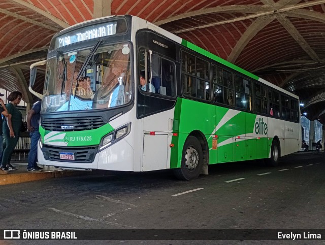 Viação Elite RJ 176.025 na cidade de Barra Mansa, Rio de Janeiro, Brasil, por Evelyn Lima. Número da foto: #13275858.