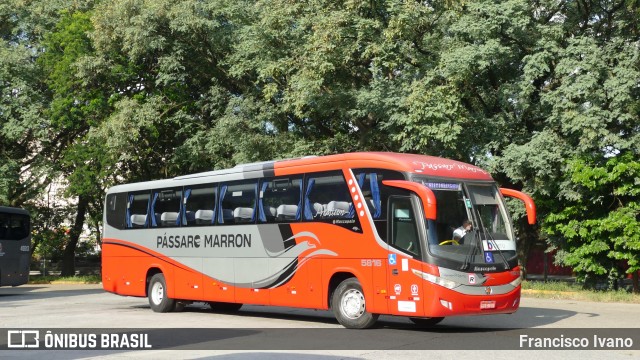 Empresa de Ônibus Pássaro Marron 5816 na cidade de São Paulo, São Paulo, Brasil, por Francisco Ivano. Número da foto: #13276148.