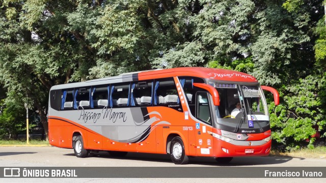 Empresa de Ônibus Pássaro Marron 5813 na cidade de São Paulo, São Paulo, Brasil, por Francisco Ivano. Número da foto: #13276129.