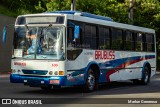 Brubuss Transportes 100 na cidade de Barueri, São Paulo, Brasil, por Marlon Generoso. Número da foto: #13275560.