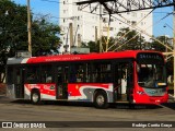 Himalaia Transportes > Ambiental Transportes Urbanos 4 1901 na cidade de São Paulo, São Paulo, Brasil, por Rodrigo Corrêa Graça. Número da foto: #13274692.
